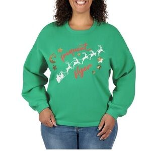 State Of Mine Flying Sleigh Reindeer Oversized Sparkle Sweatshirt size large